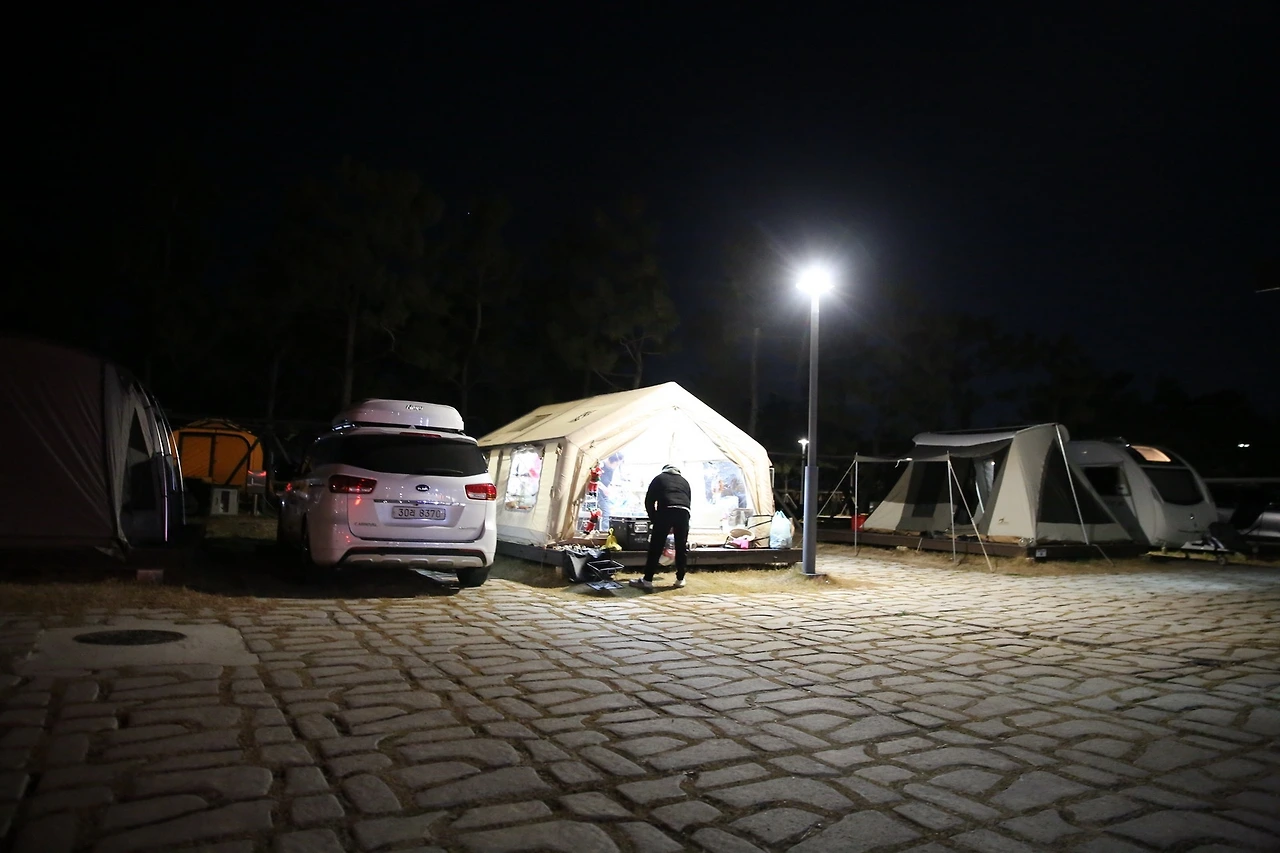 MG0A2384_новый размер.JPG