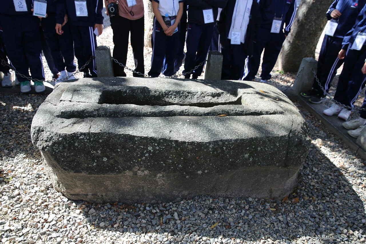 MG0A6775_новый размер.JPG