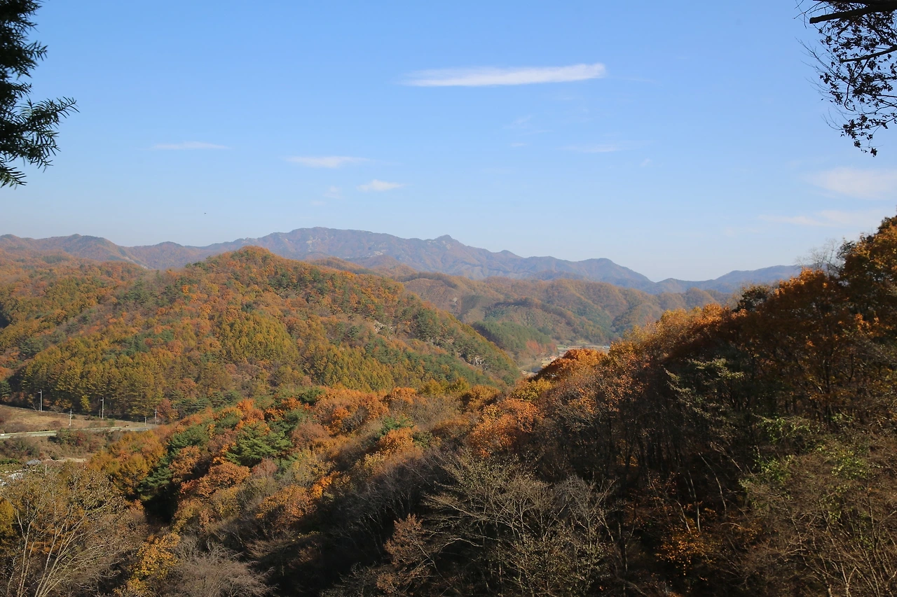 MG0A9988_новый размер.JPG