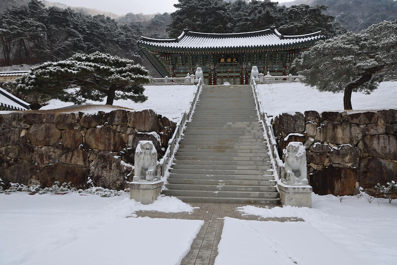 0R5A3174_новый размер.JPG