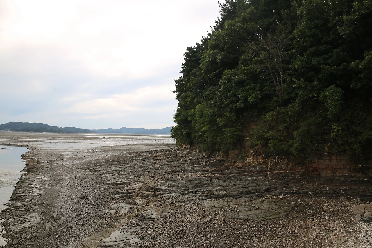 MG0A3483_новый размер.JPG