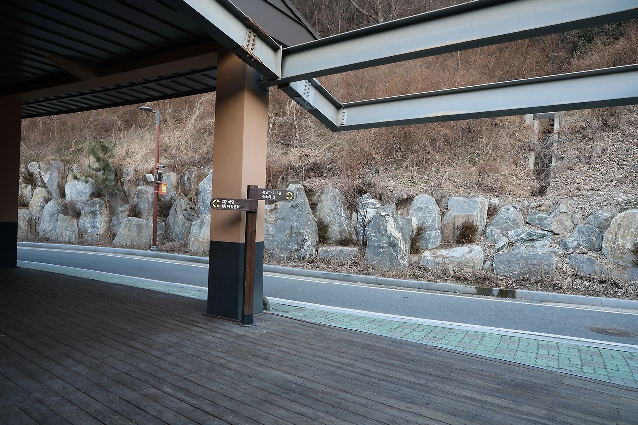 0R5A0041_новый размер.JPG