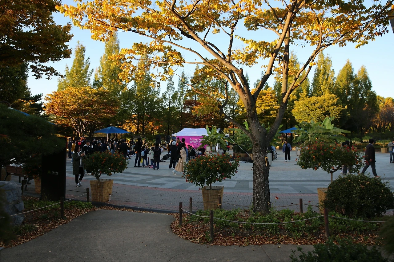 MG0A7205_новый размер.JPG