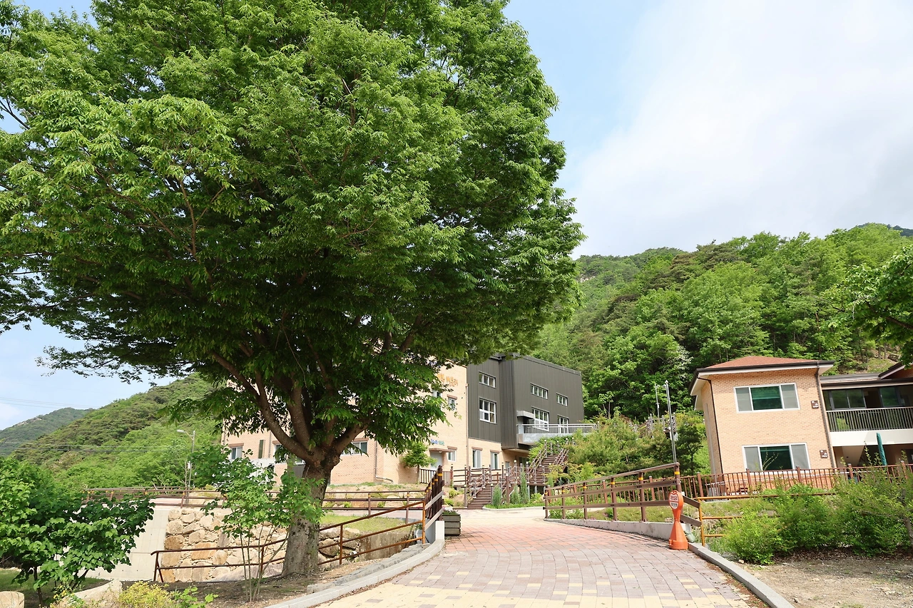 0R5A1322_новый размер.JPG