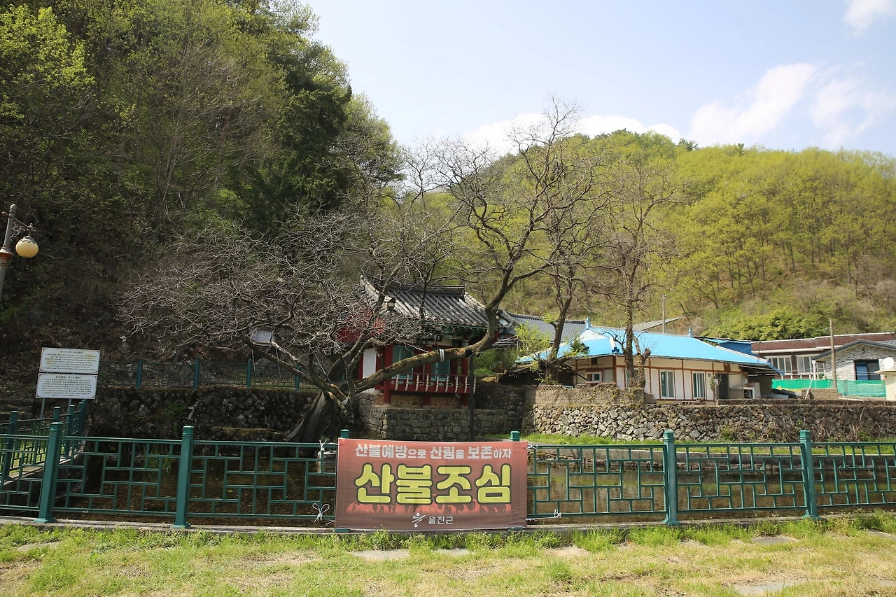 MG0A9750_новый размер.JPG