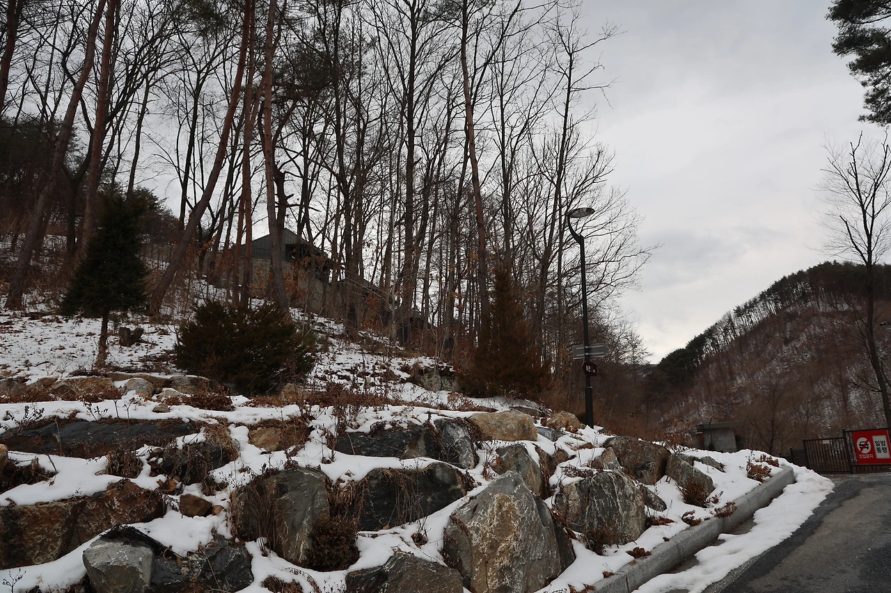 0R5A1709_новый размер.JPG