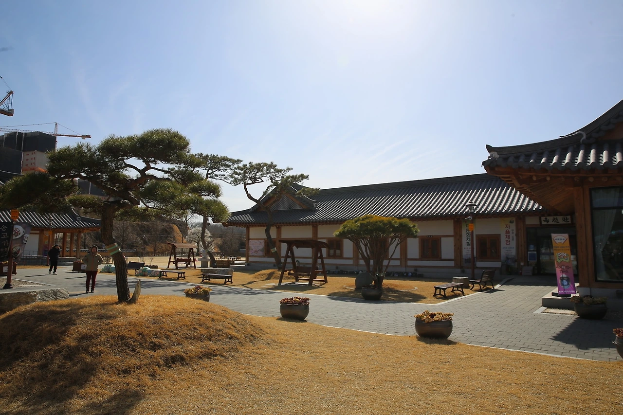 MG0A1808_новый размер.JPG