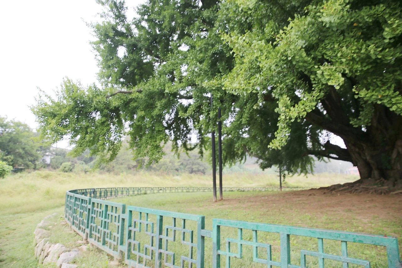 MG0A3574_новый размер_exposure.JPG