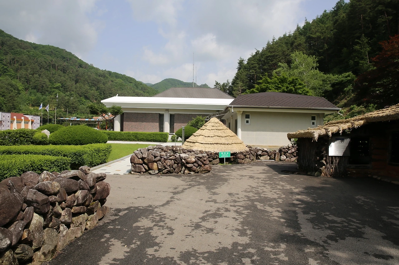 MG0A0696_новый размер.JPG