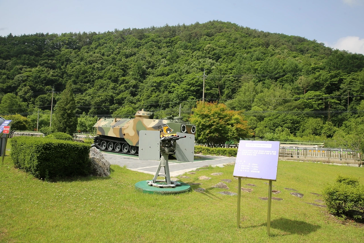 MG0A0750_новый размер.JPG