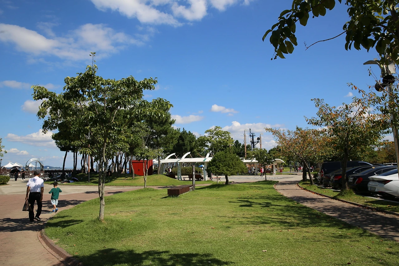 MG0A1926_новый размер.JPG