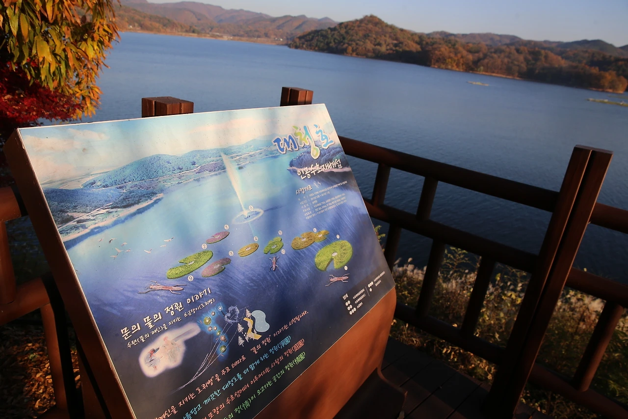 MG0A1384_новый размер.JPG