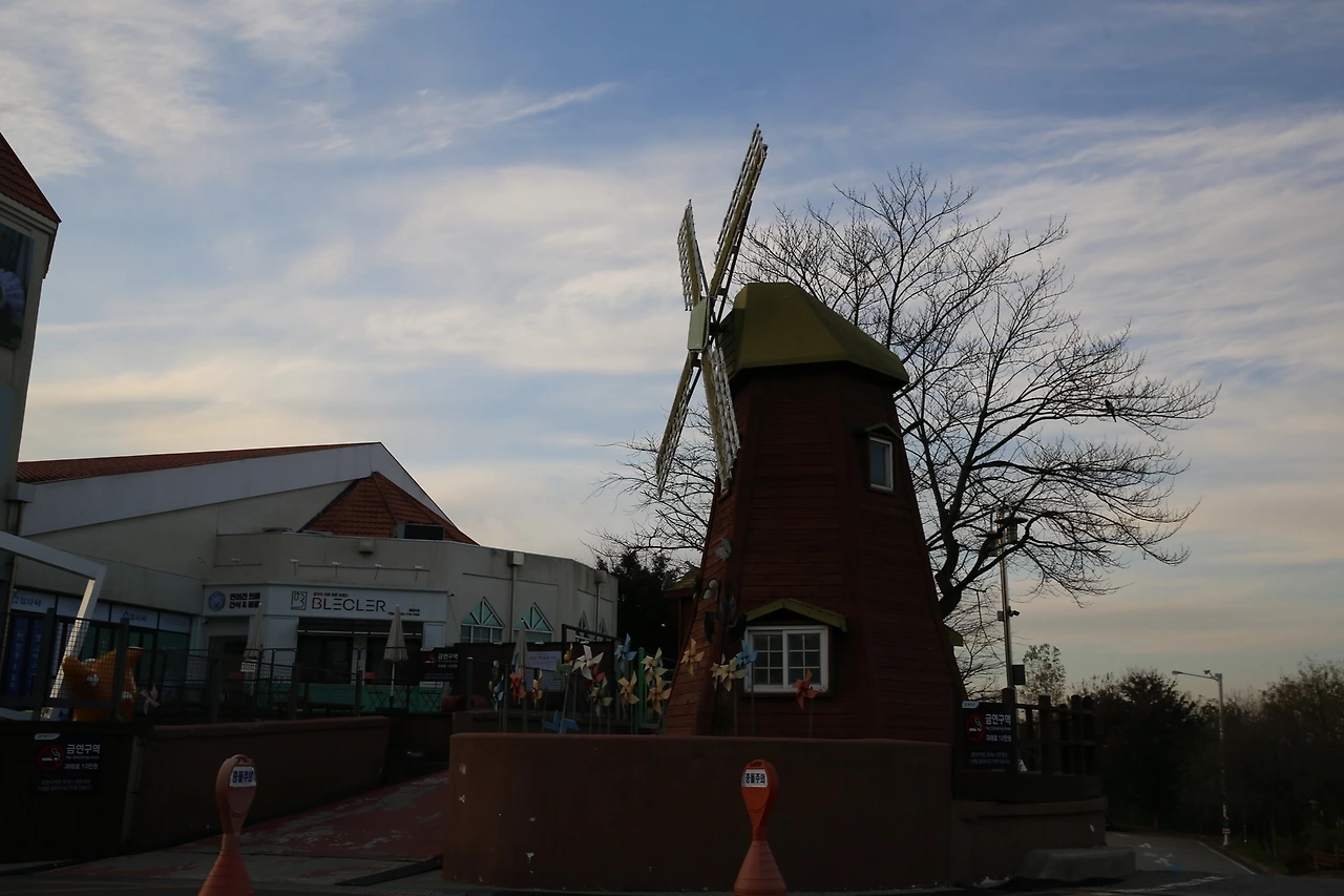 MG0A0378_новый размер.JPG