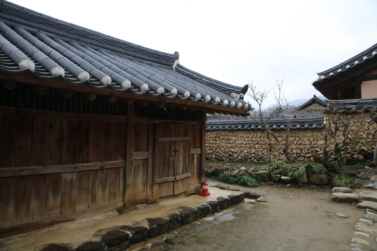 MG0A0529_новый размер.JPG