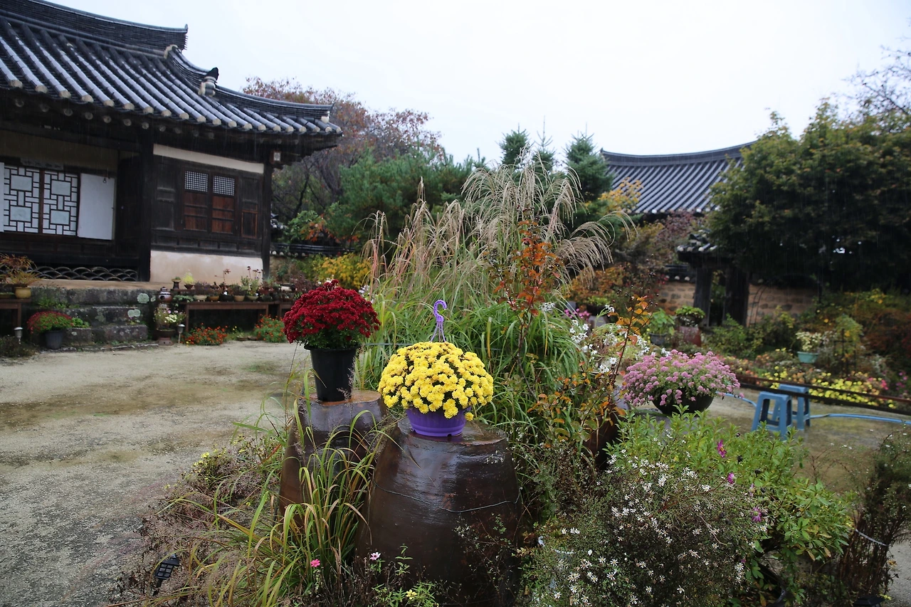 MG0A5995_новый размер.JPG