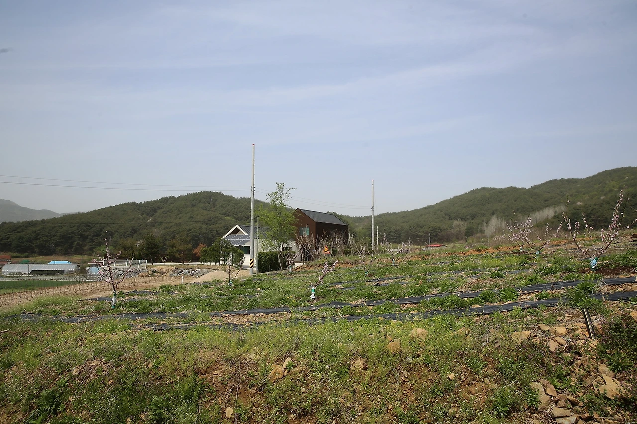 MG0A0162_новый размер.JPG