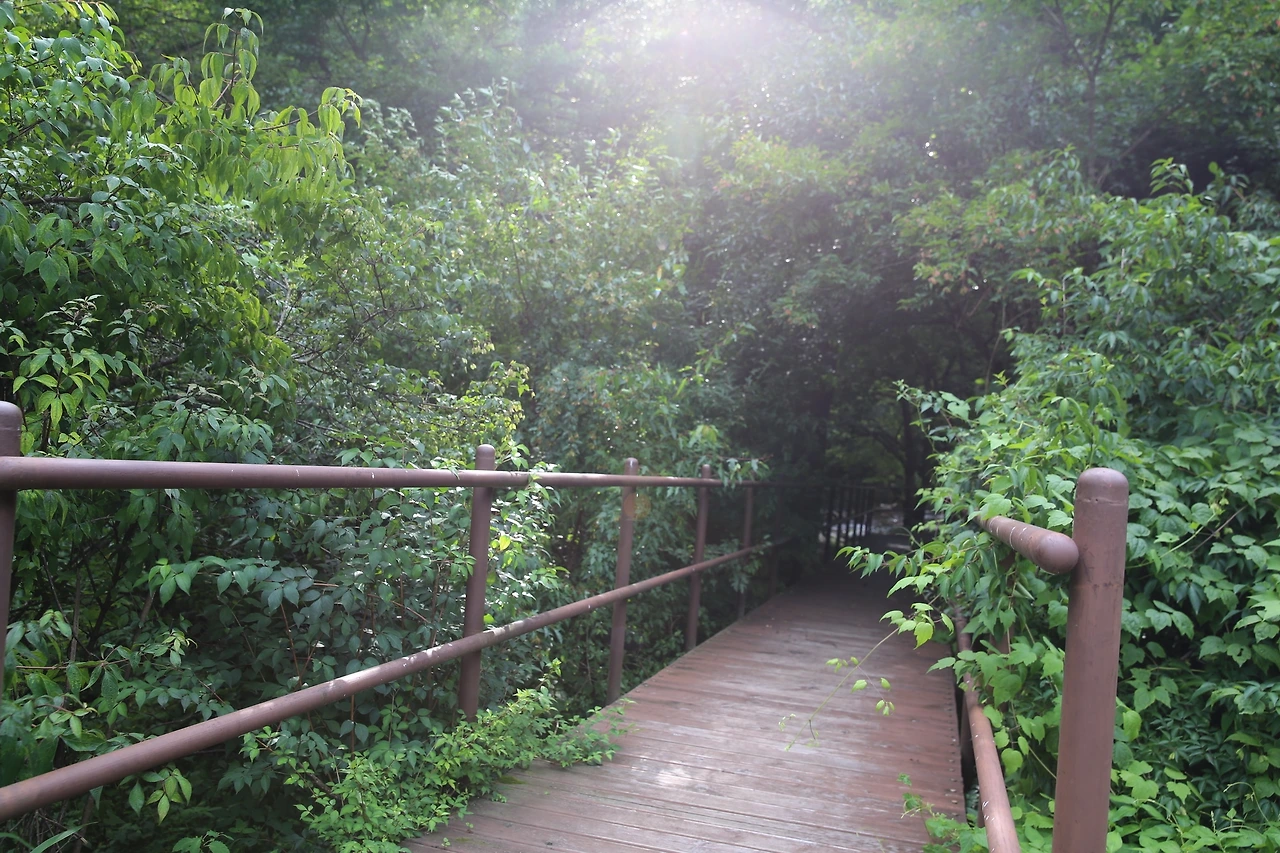 MG0A5019_новый размер.JPG