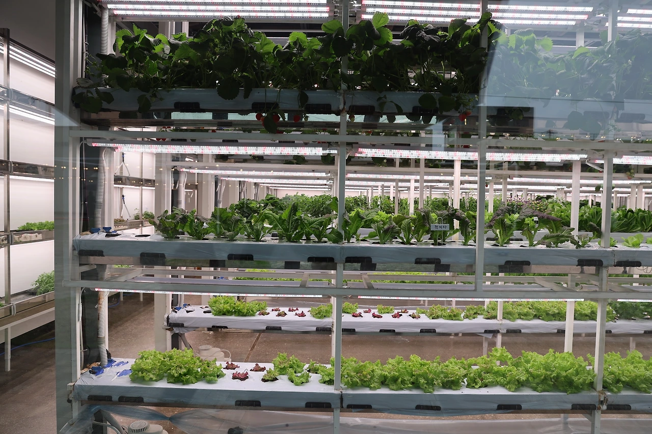 0R5A9832_новый размер.JPG