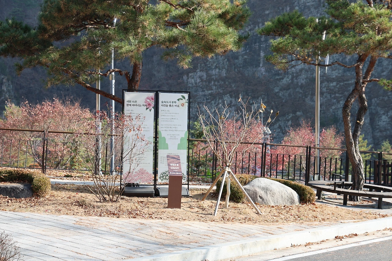 0R5A3488_новый размер.JPG