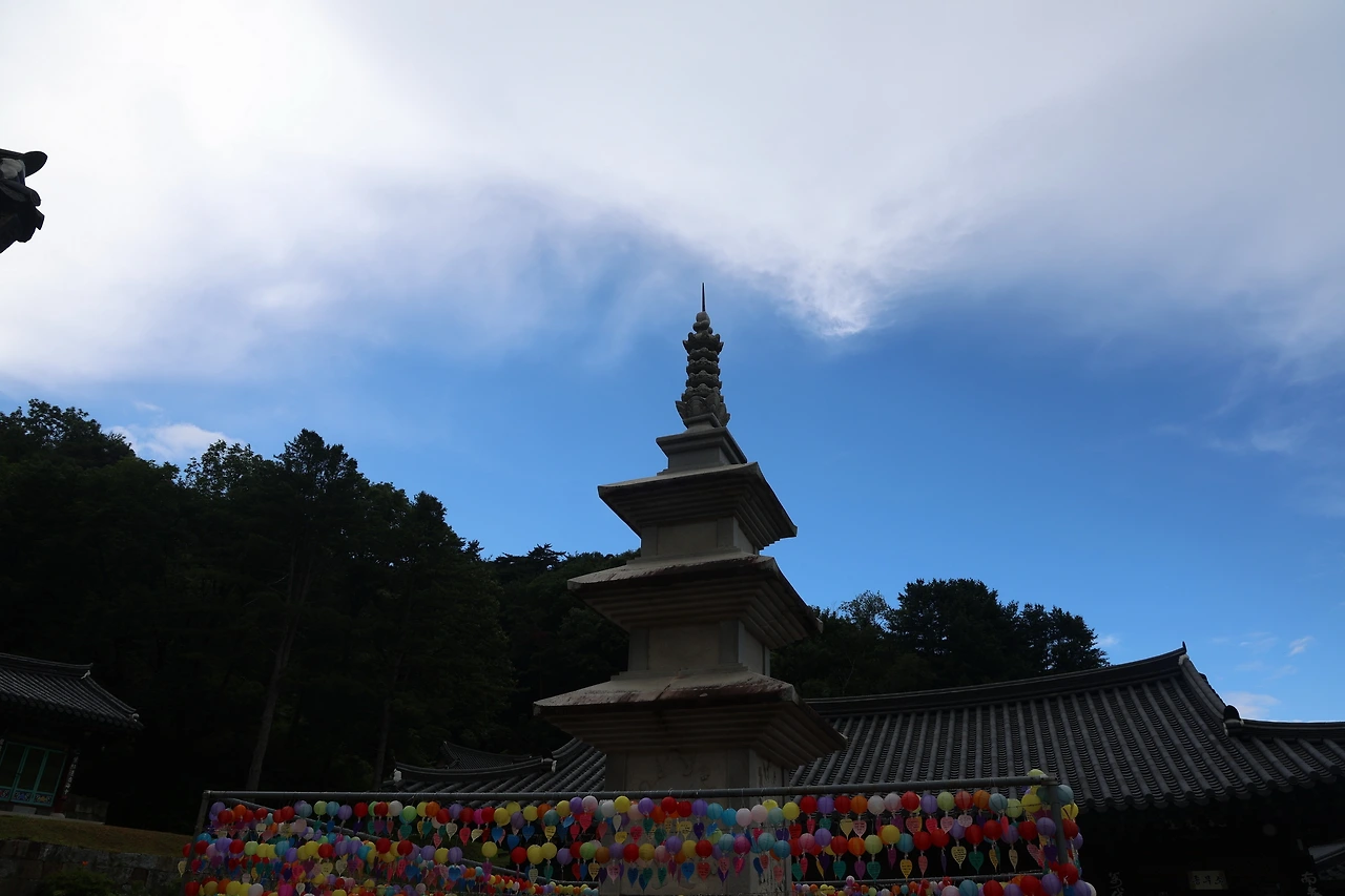 0R5A7614_новый размер.JPG