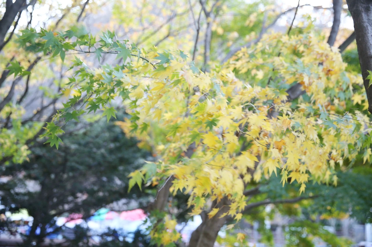 MG0A0684_новый размер_exposure.JPG