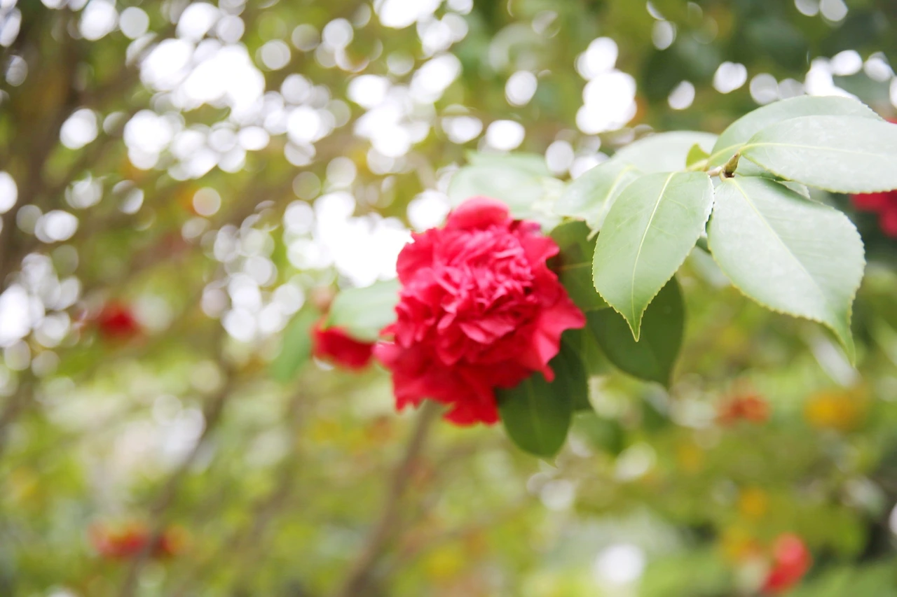 MG0A6279_новый размер_exposure.JPG