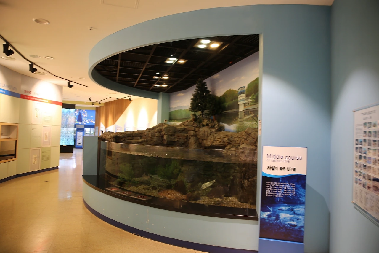 MG0A7725_новый размер.JPG