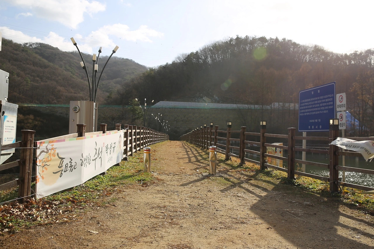 MG0A3663_новый размер.JPG