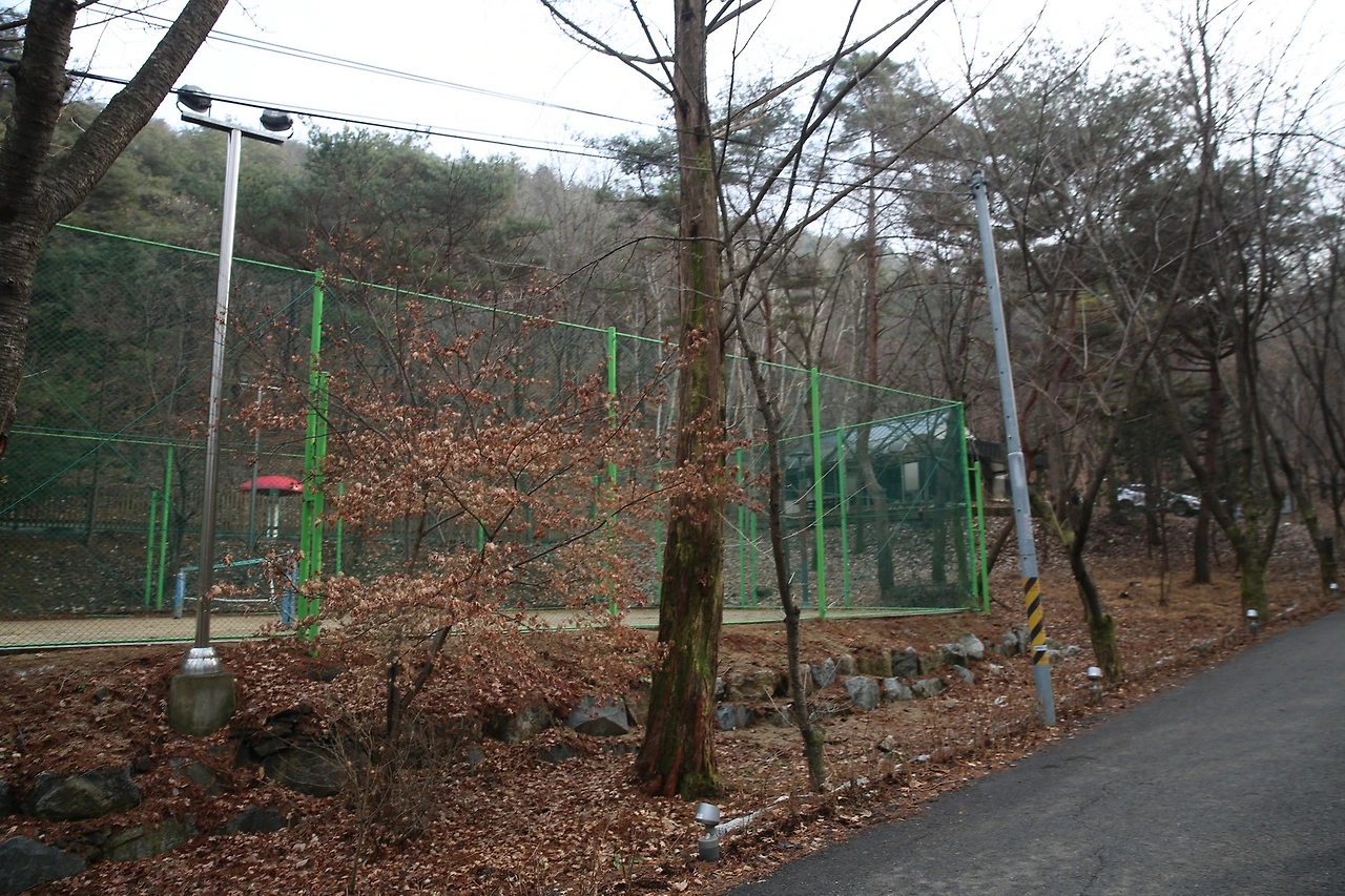 MG0A5473_новый размер.JPG