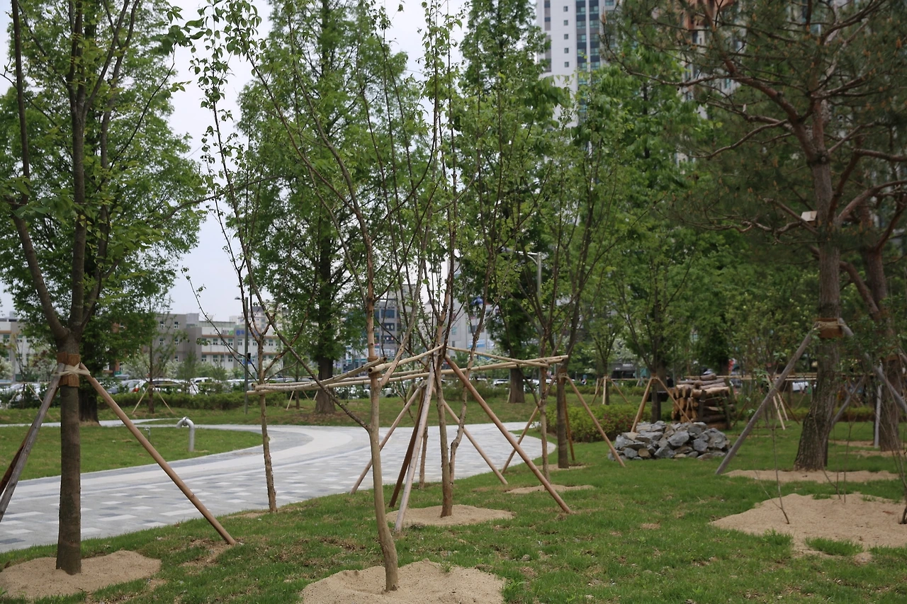 MG0A1745_новый размер.JPG