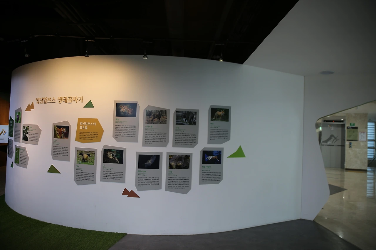 MG0A4446_новый размер.JPG