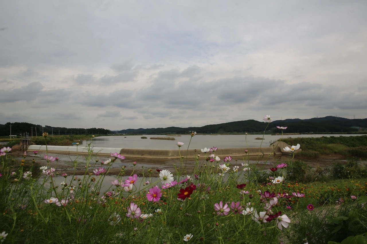 MG0A3494_новый размер.JPG