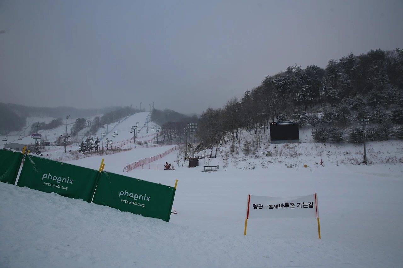 MG0A6255_новый размер.JPG