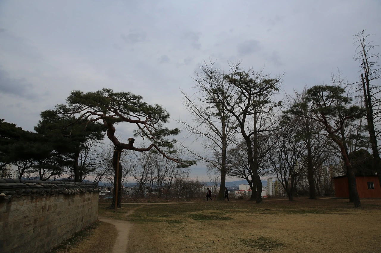 MG0A4633_новый размер.JPG