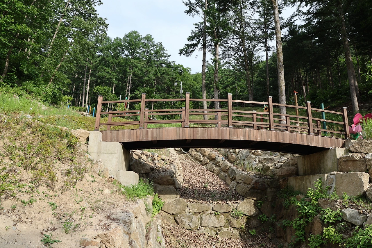 0R5A5435_новый размер.JPG