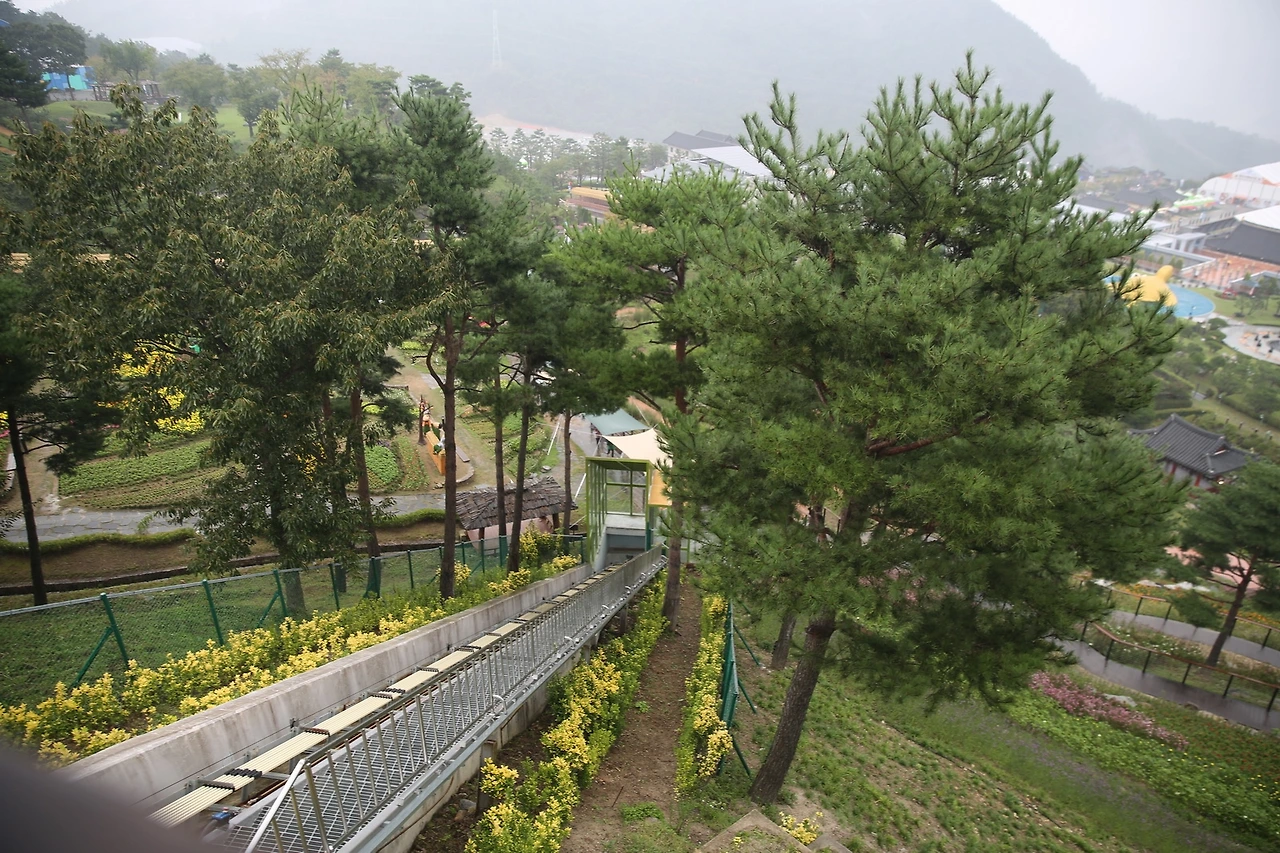 MG0A3067_новый размер.JPG