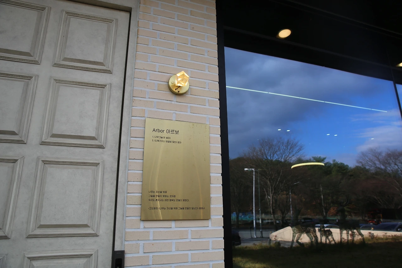 MG0A2559_новый размер.JPG