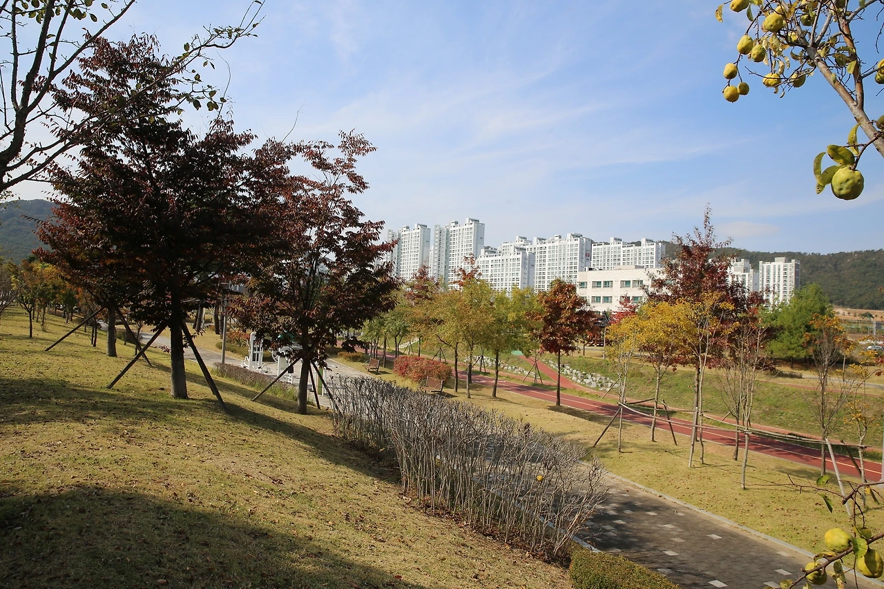 MG0A7288_новый размер.JPG