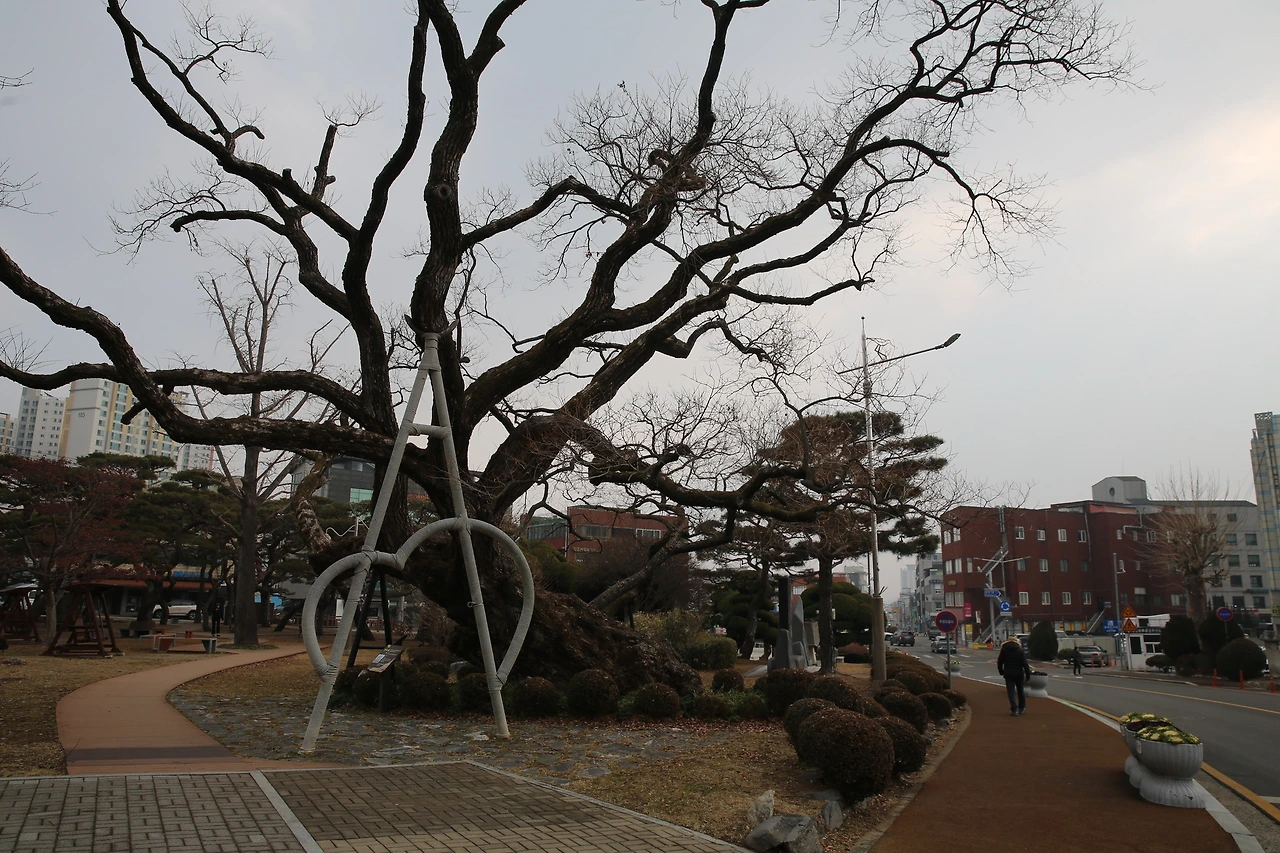 MG0A6737_новый размер.JPG