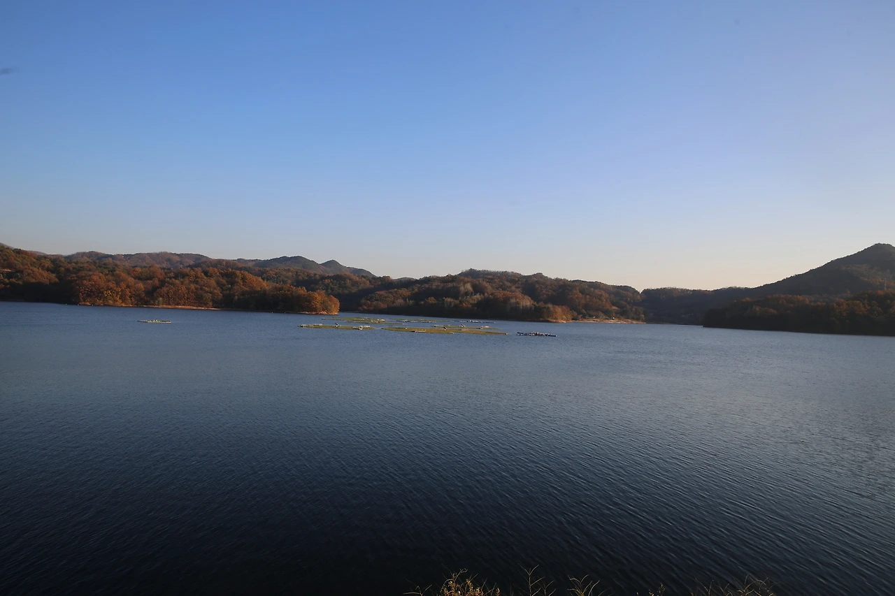 MG0A1386_новый размер.JPG