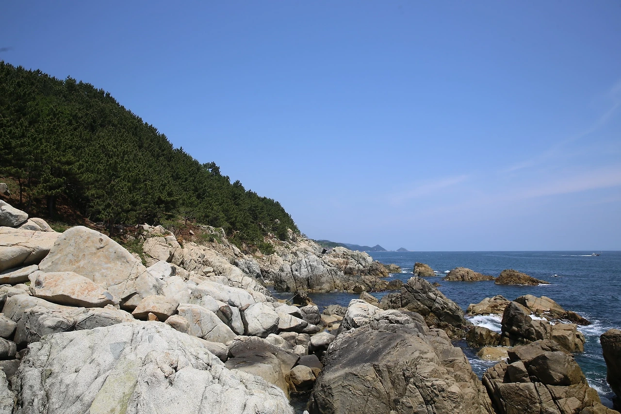 MG0A9253_новый размер.JPG