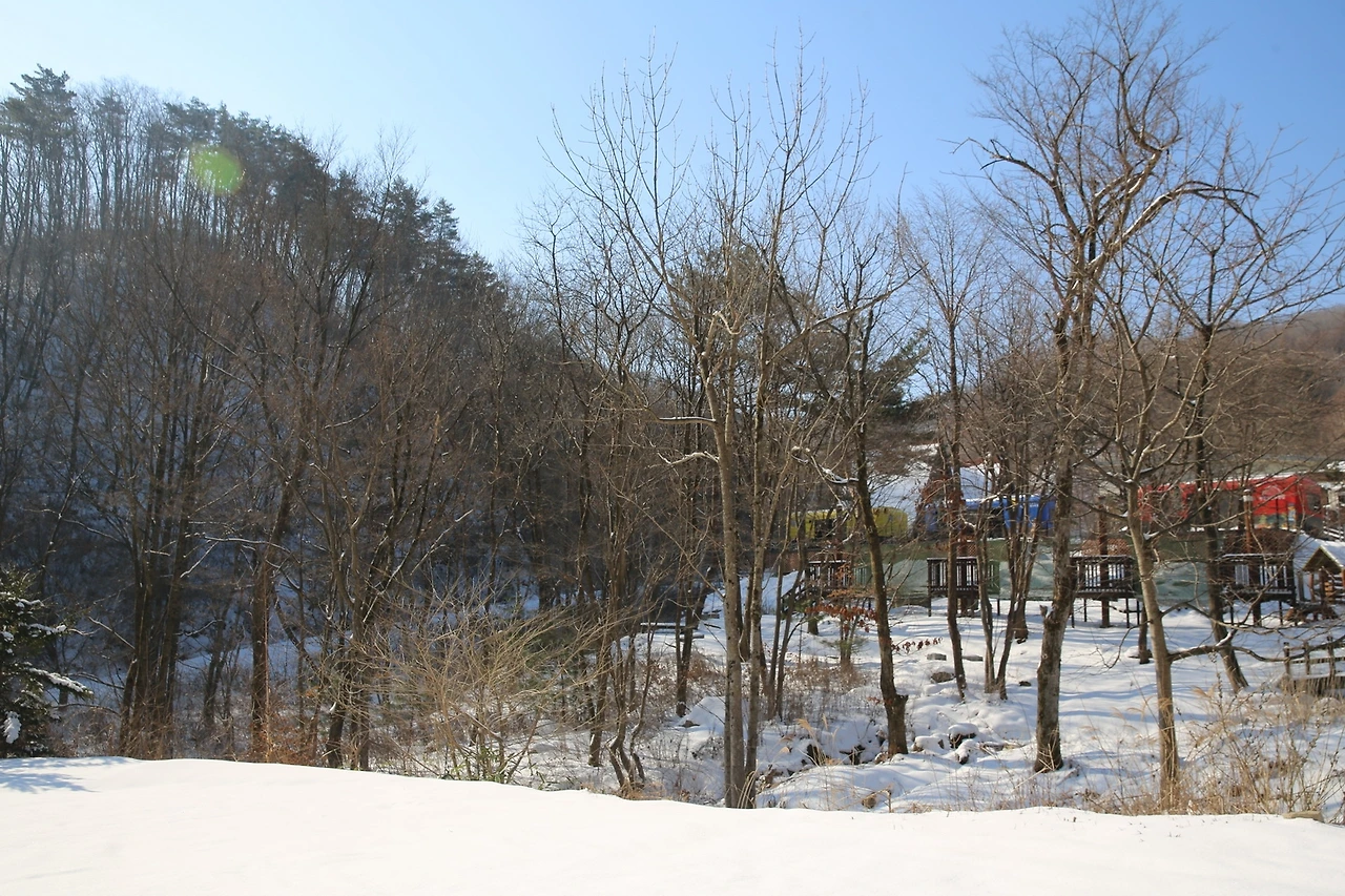 MG0A5030_новый размер.JPG