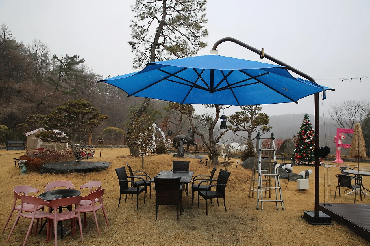 MG0A6163_новый размер.JPG