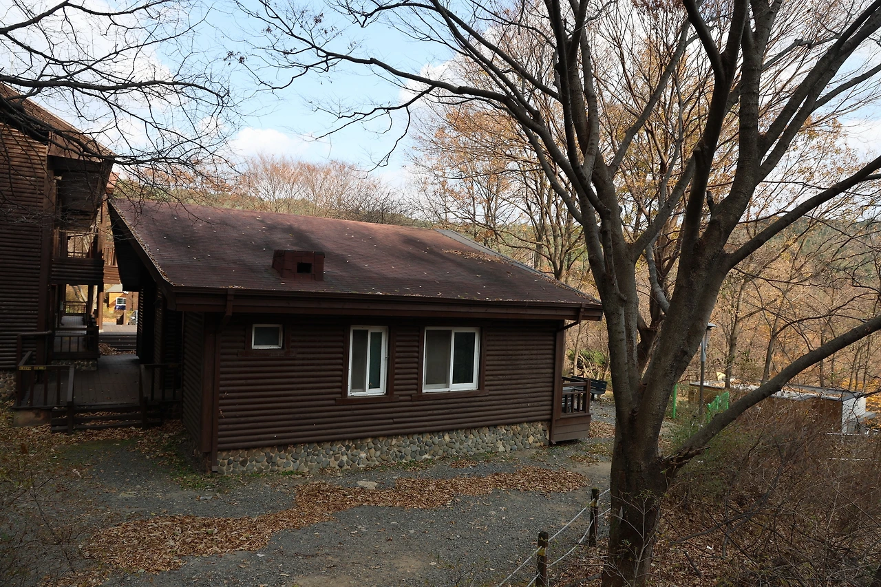 0R5A3100_новый размер.JPG