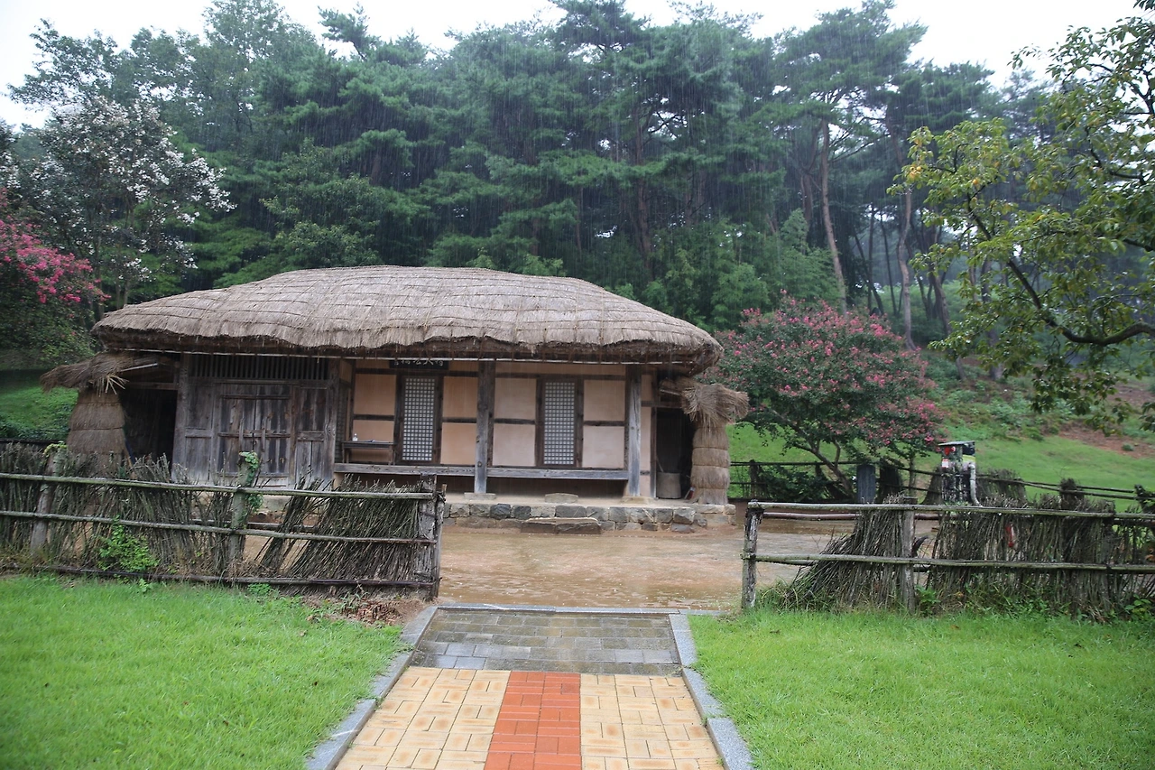 MG0A1740_новый размер.JPG