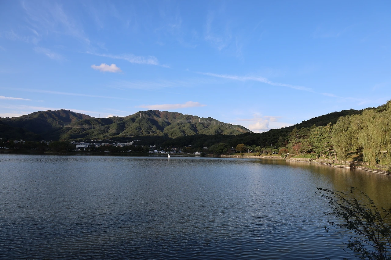 0R5A1215_новый размер.JPG