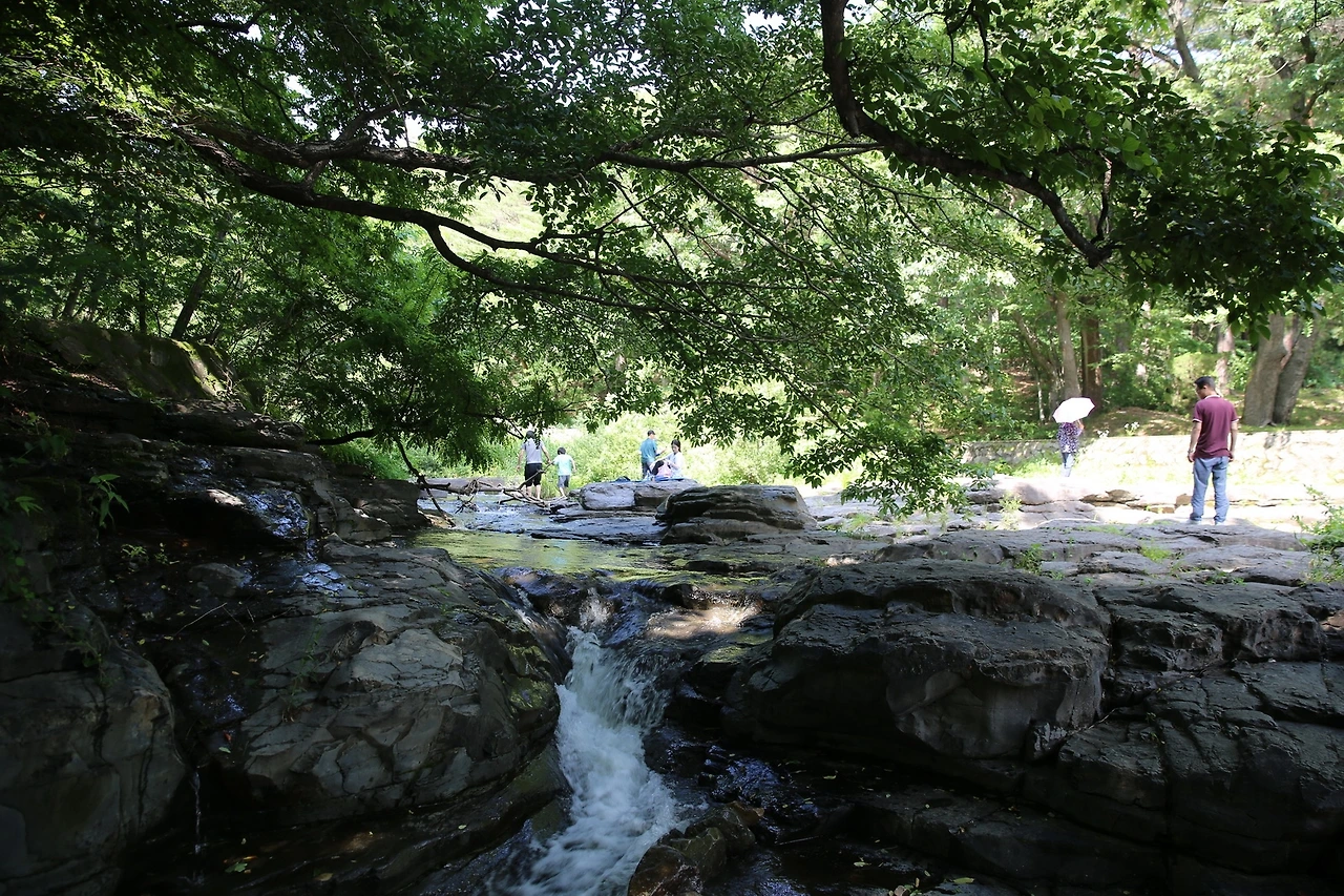 MG0A8228_новый размер.JPG