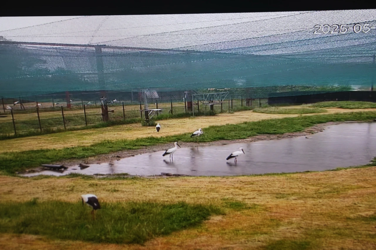 0R5A8830_новый размер.JPG