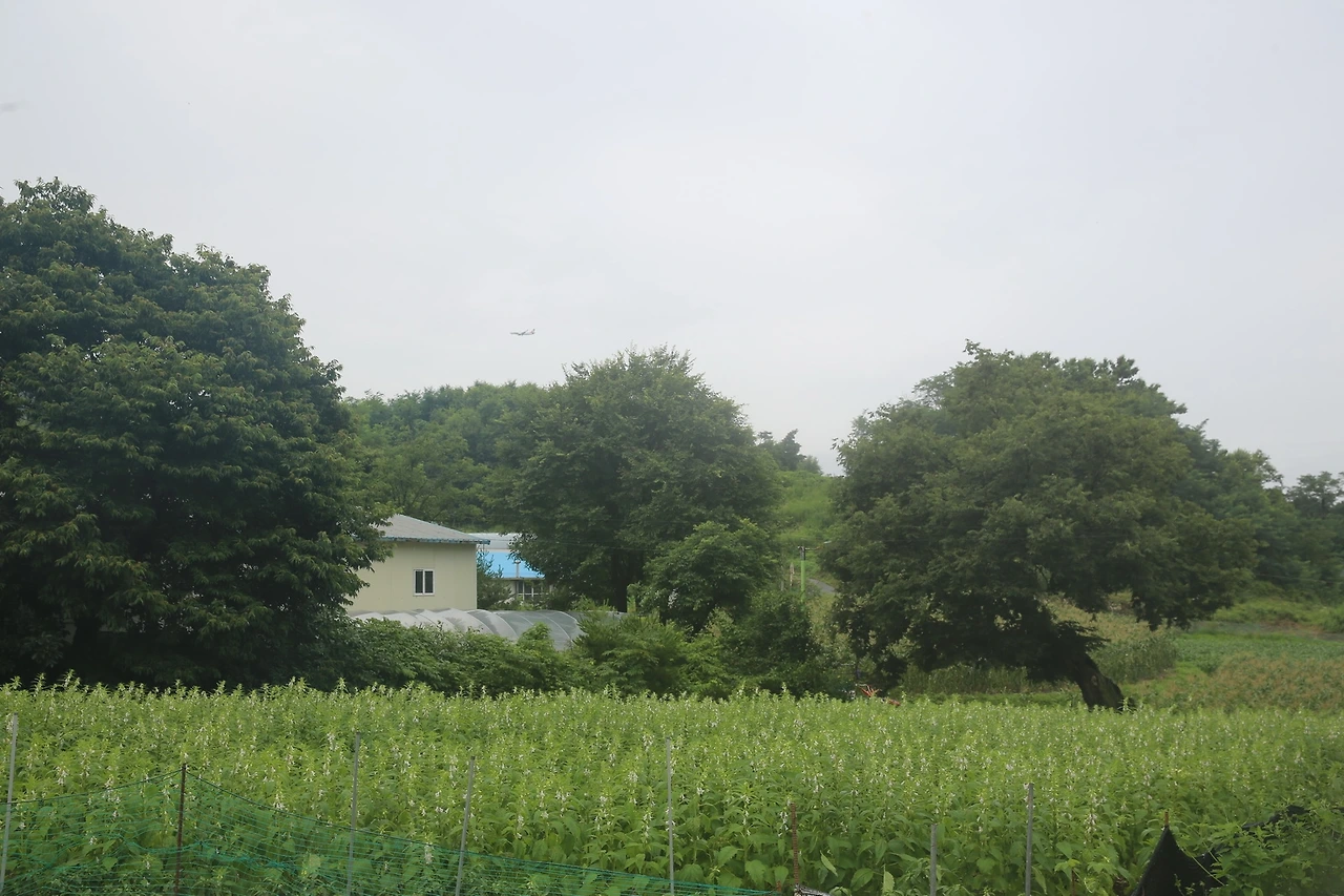 MG0A4698_новый размер.JPG