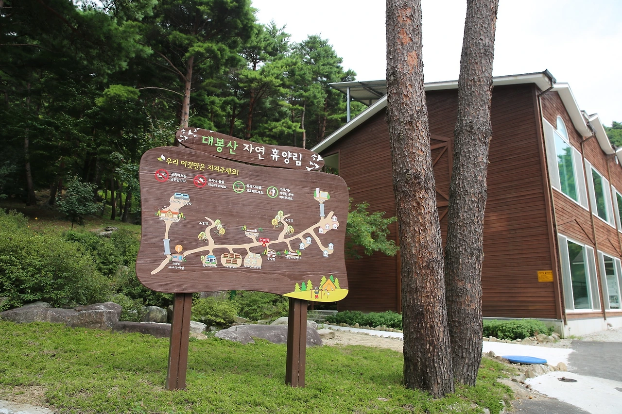 MG0A7447_новый размер.JPG